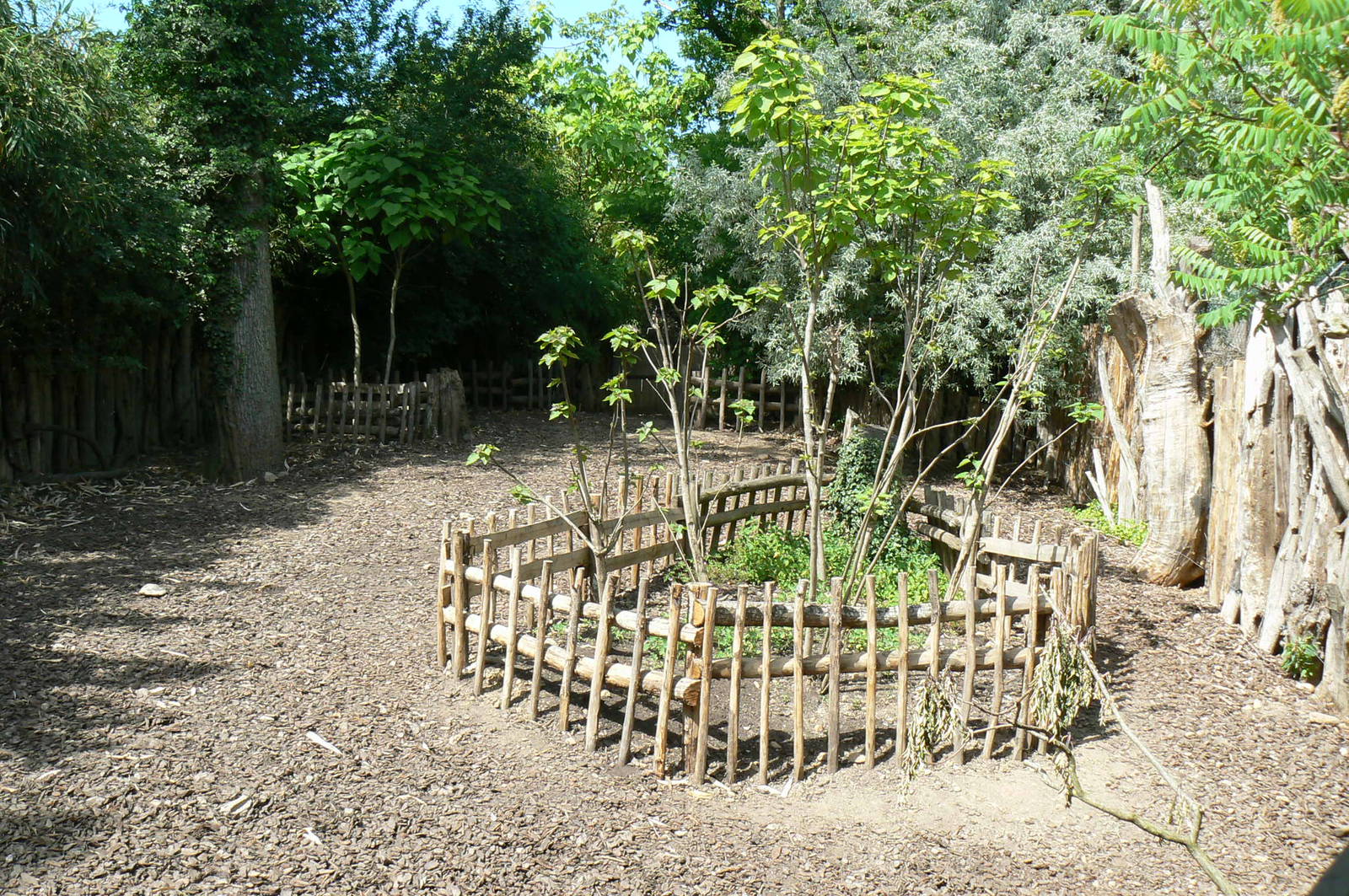 Safari lodge - red river hogs main enclosure