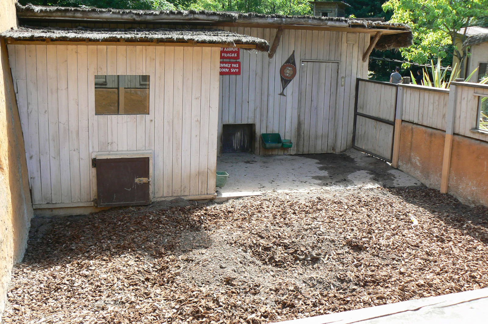 Safari lodge - red river hogs second enclosure