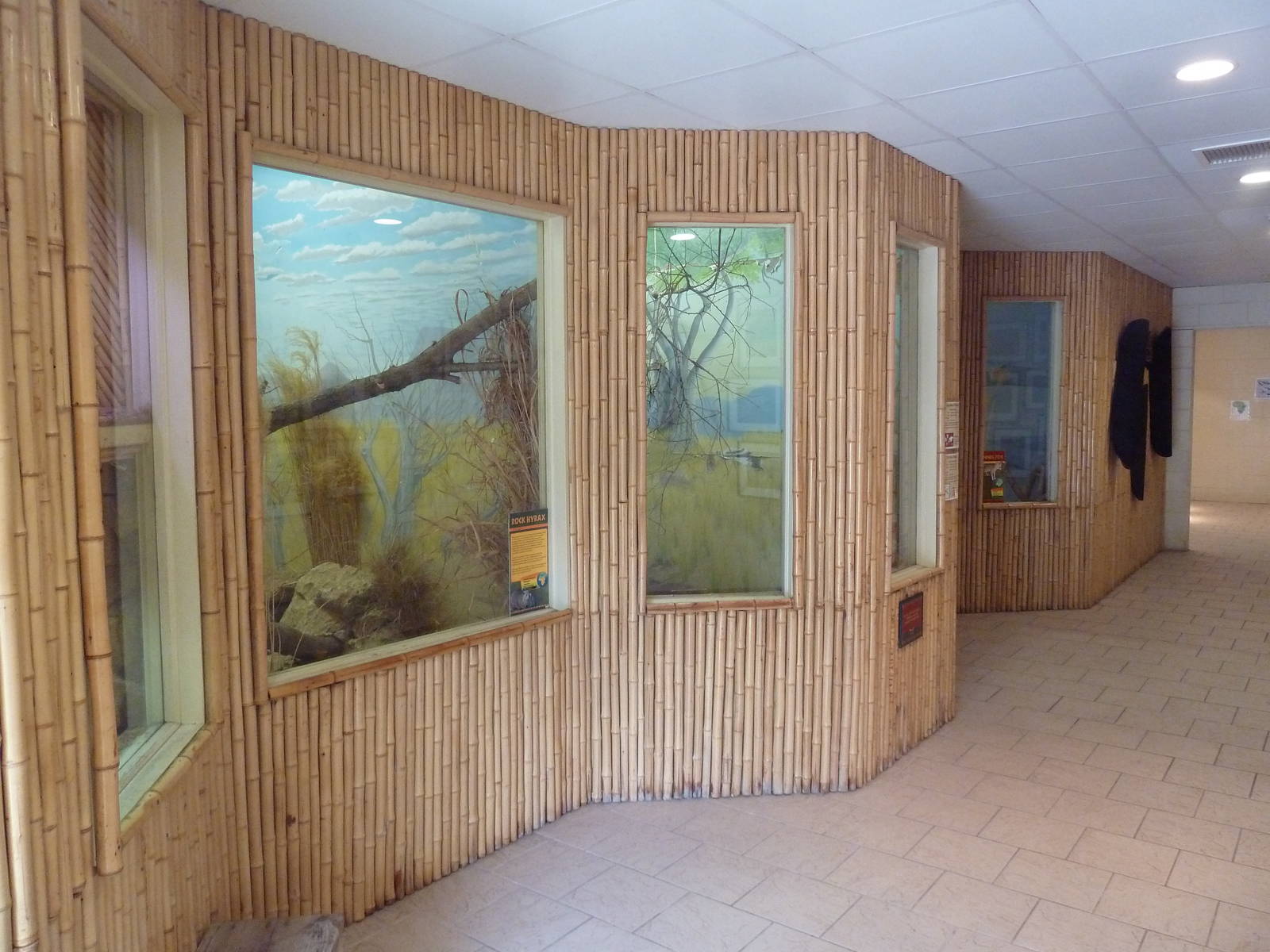 Safari Lodge - Small Animal Exhibits