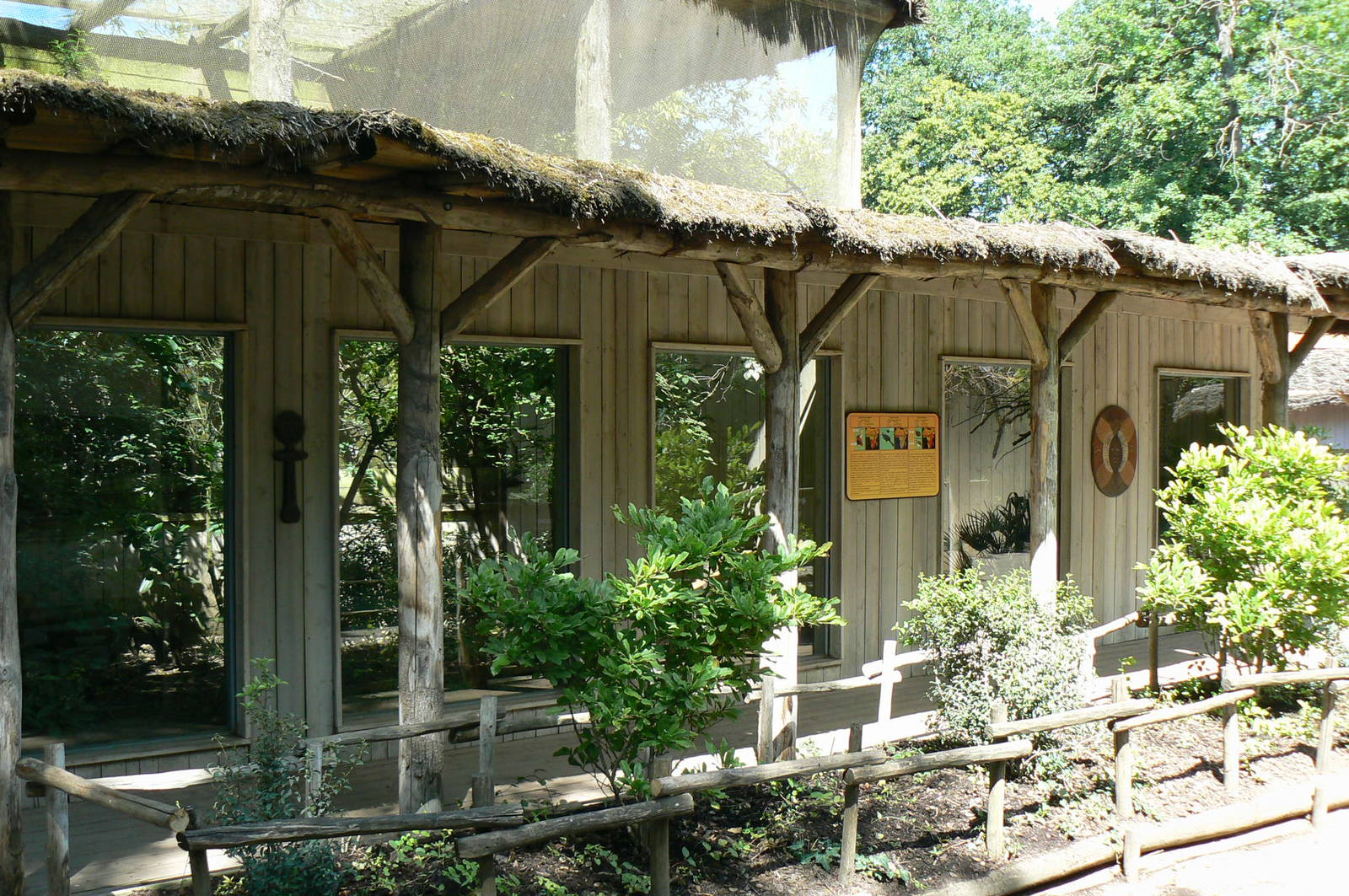Safari lodge - Violet turacos, red bishops and harlequin quails
