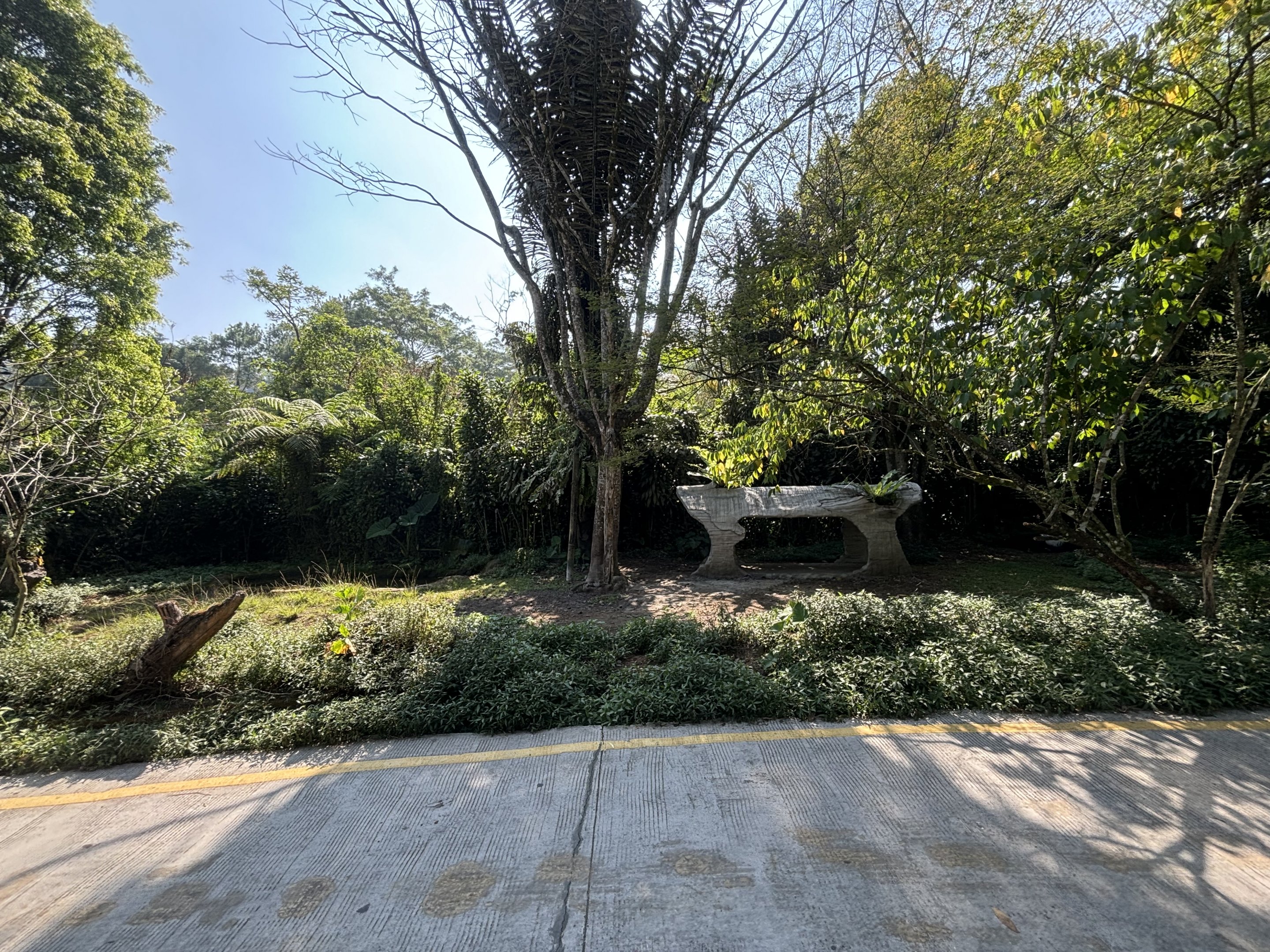 Safari - Malayan Tapir Exhibit
