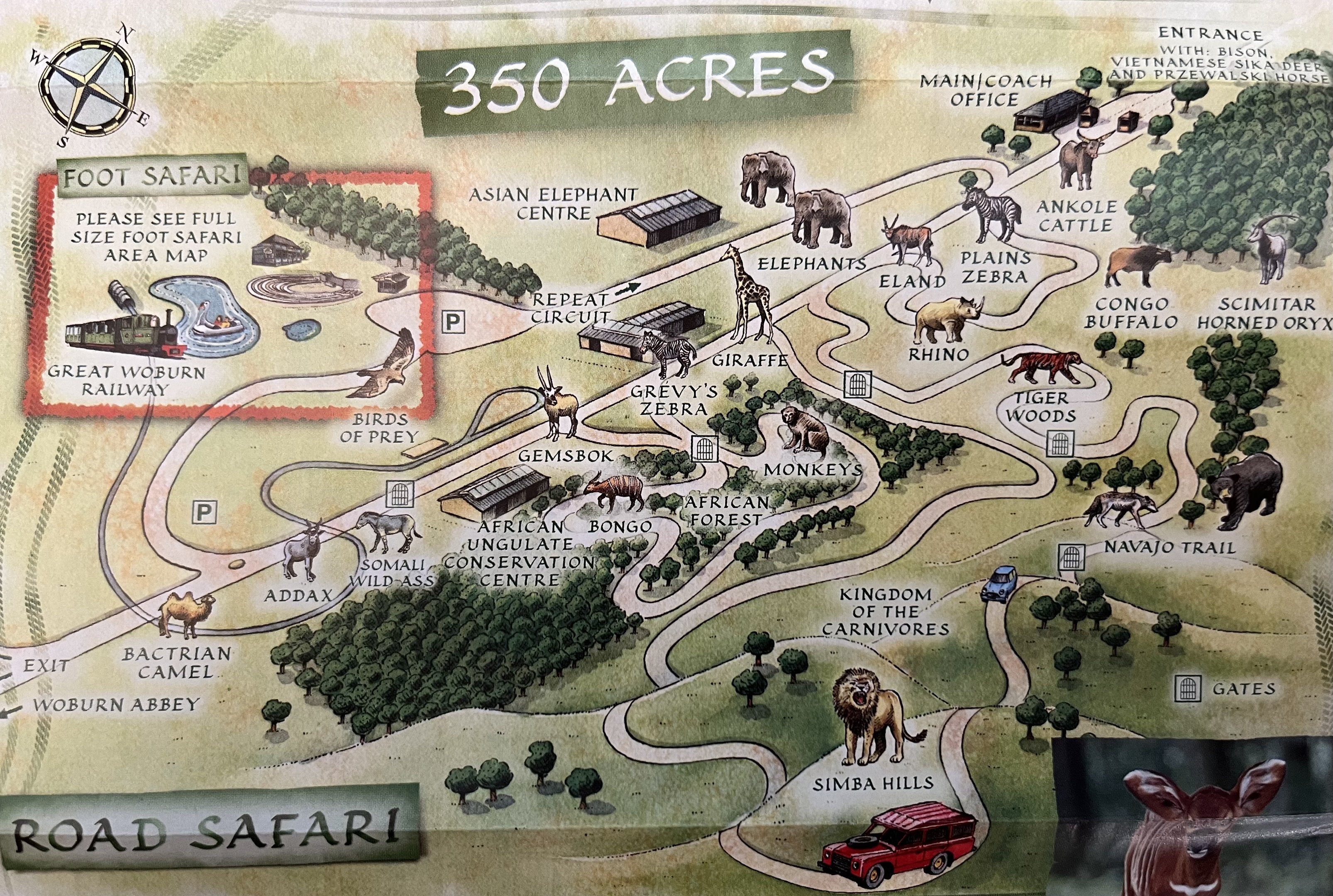Safari Map - 2008