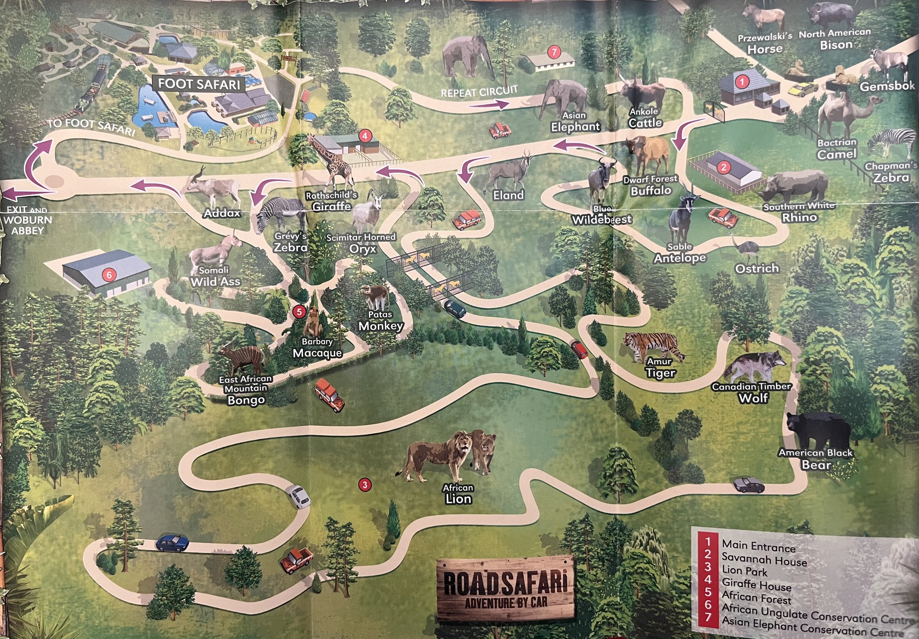 Safari Map - 2013