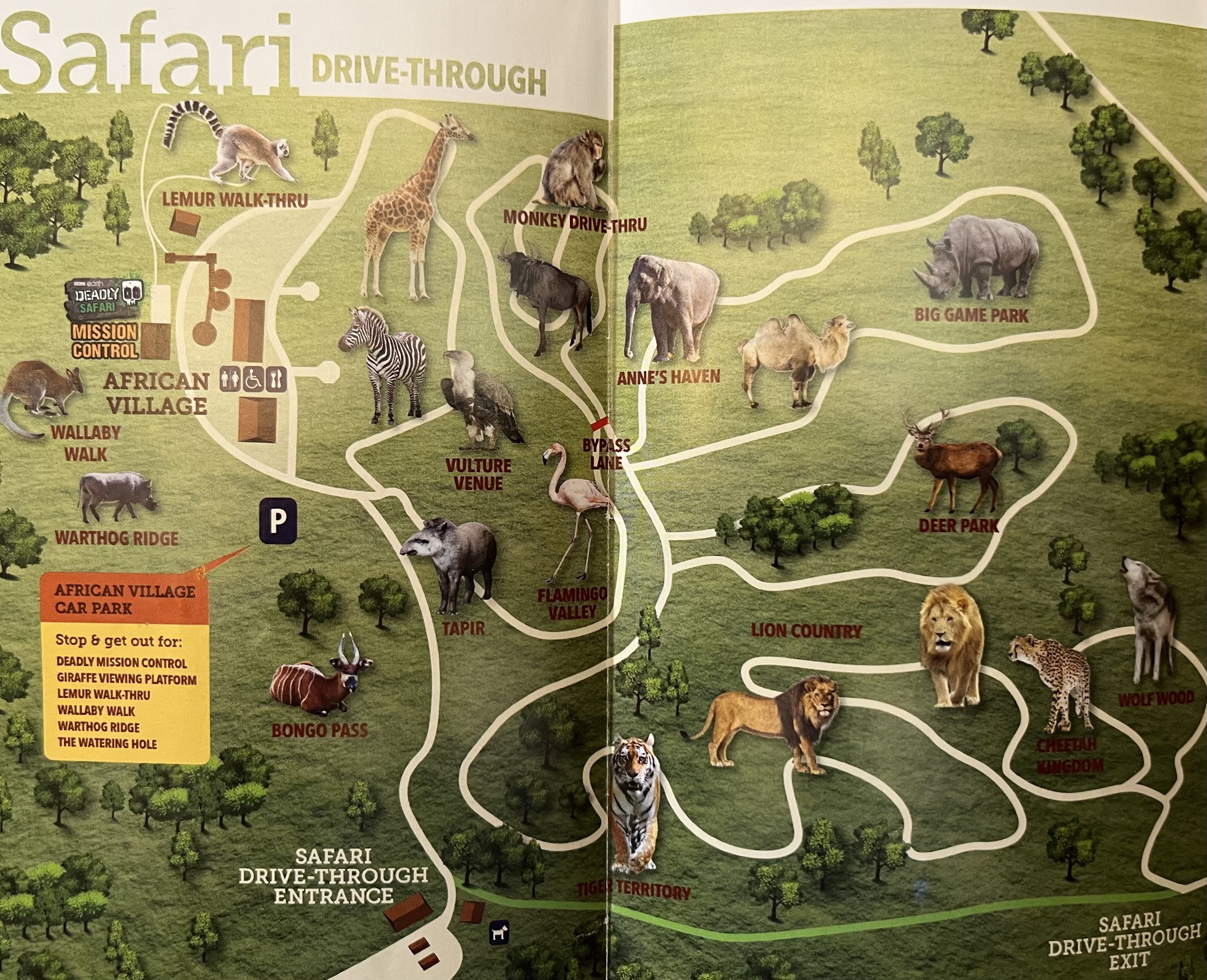 Safari Map - 2015