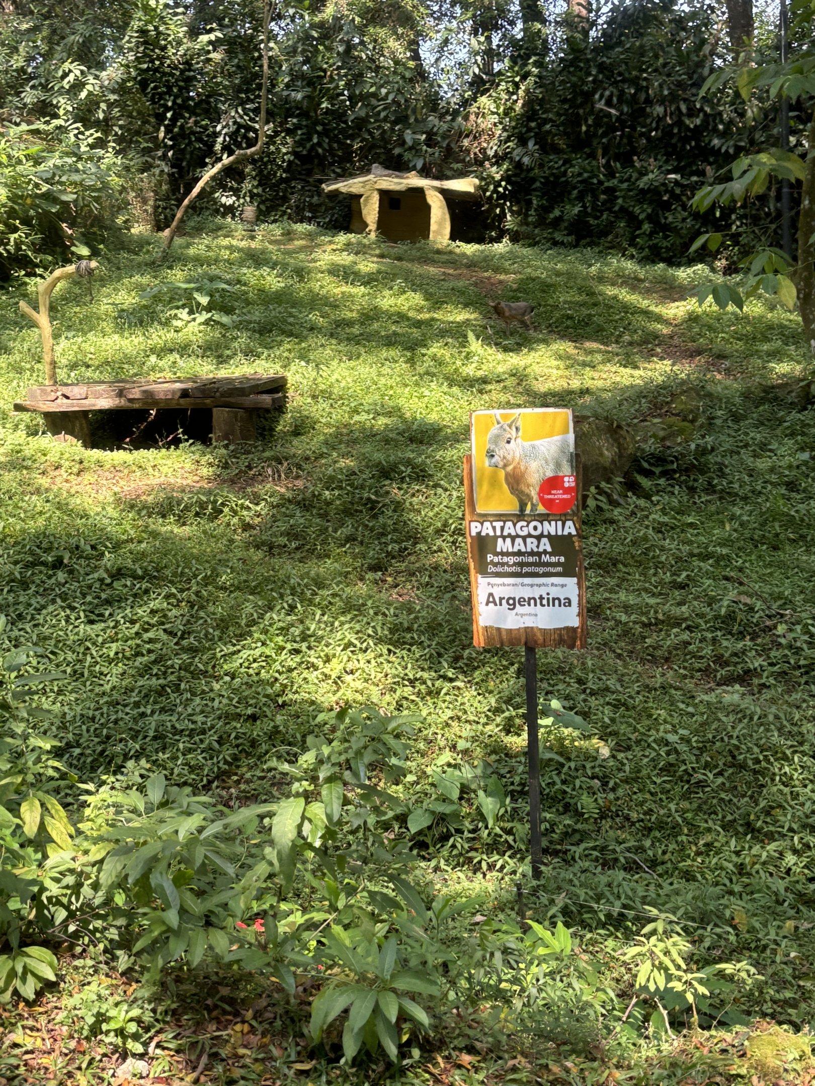 Safari - Mara Exhibit