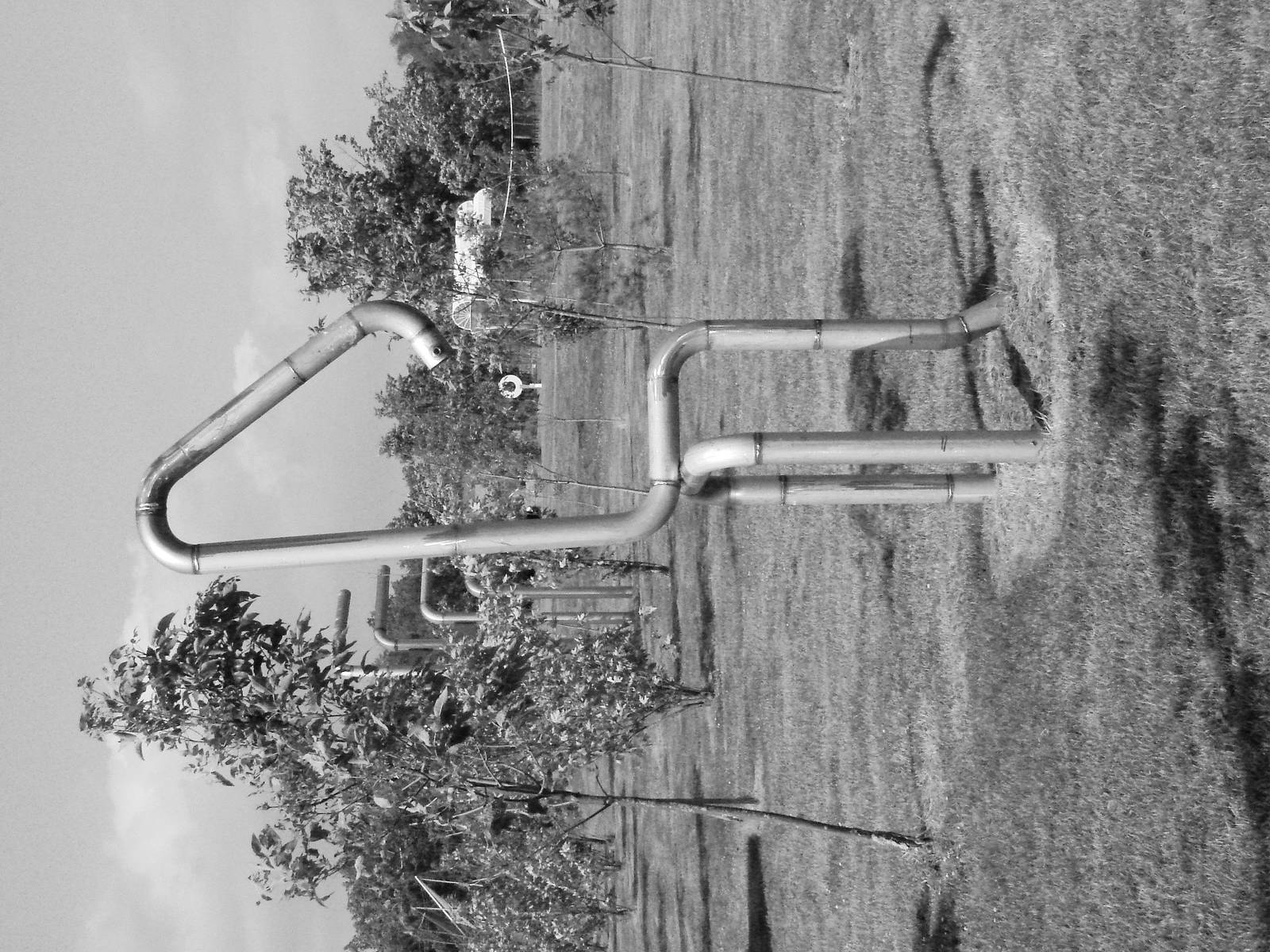 Safari Niagara - June 9th