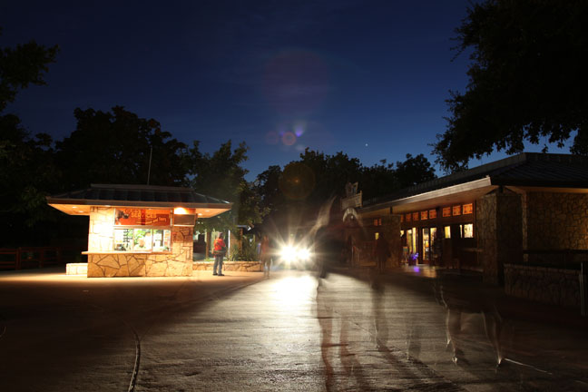 Safari Nights, July 27, 2013.