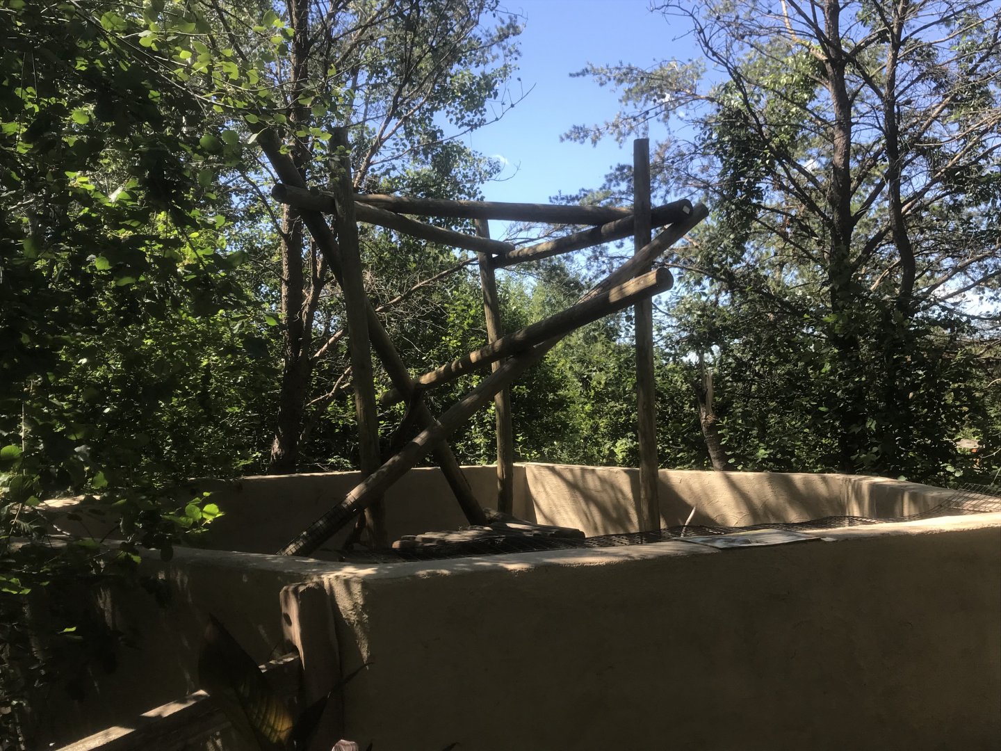 Safari North - North American Porcupine