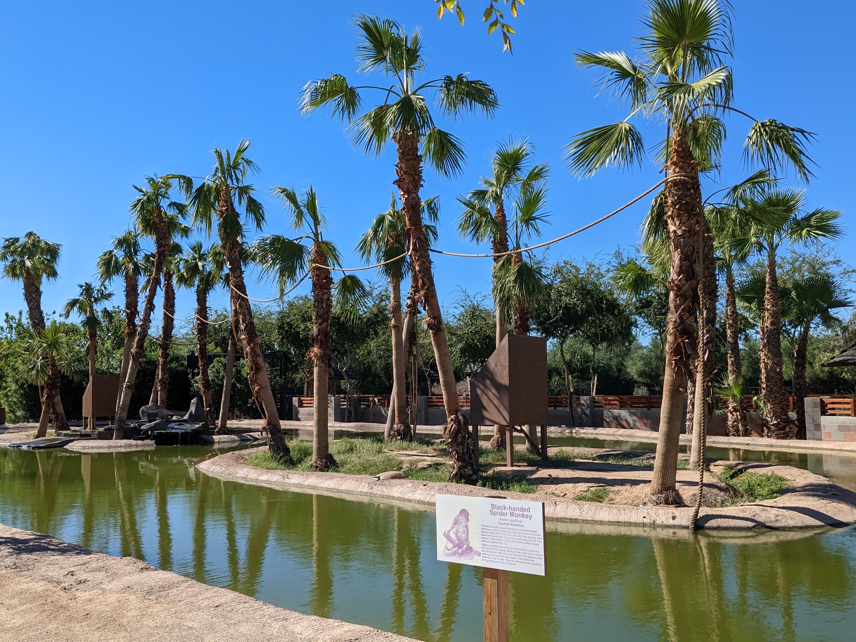 Safari Park - spider monkey islands
