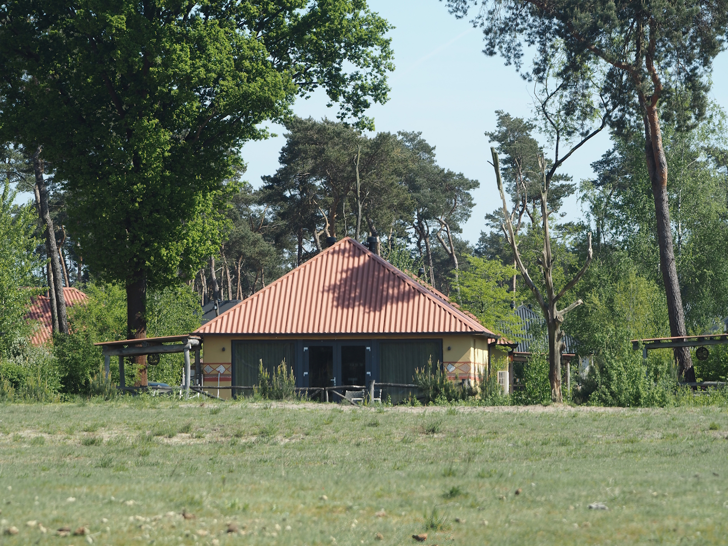 Safari Resort bungalow, 2025-04-30