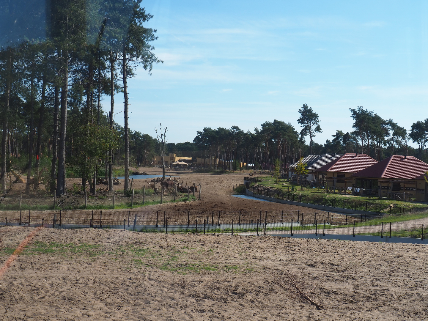 Safari Resort savanna paddock, 2019-09-15