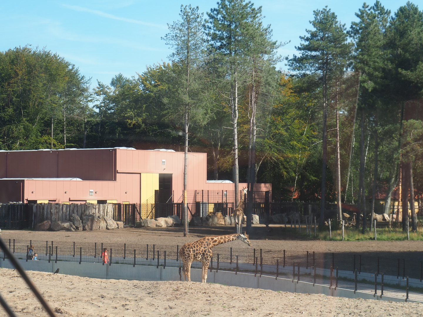 Safari Resort savanna paddock and barn, 2019-09-15