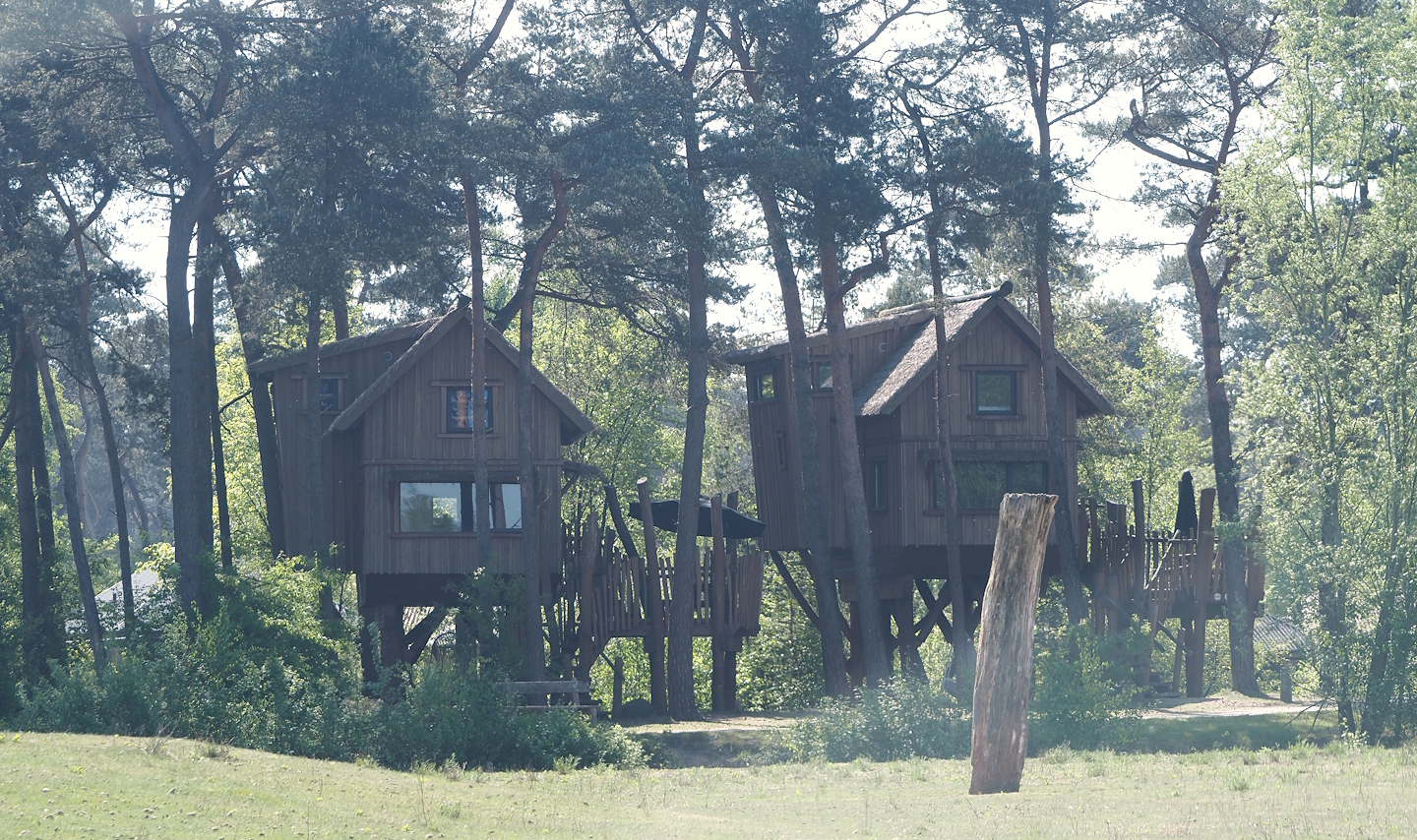 Safari Resort tree houses, 2025-04-30