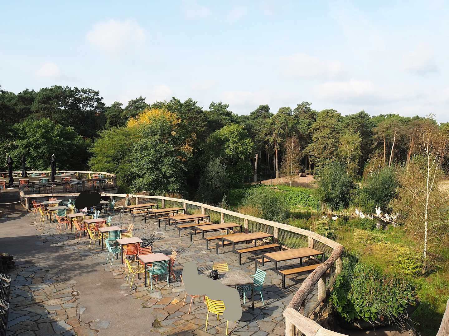 Safari restaurant terraces and Great white pelican exhibit, 2023-10-07