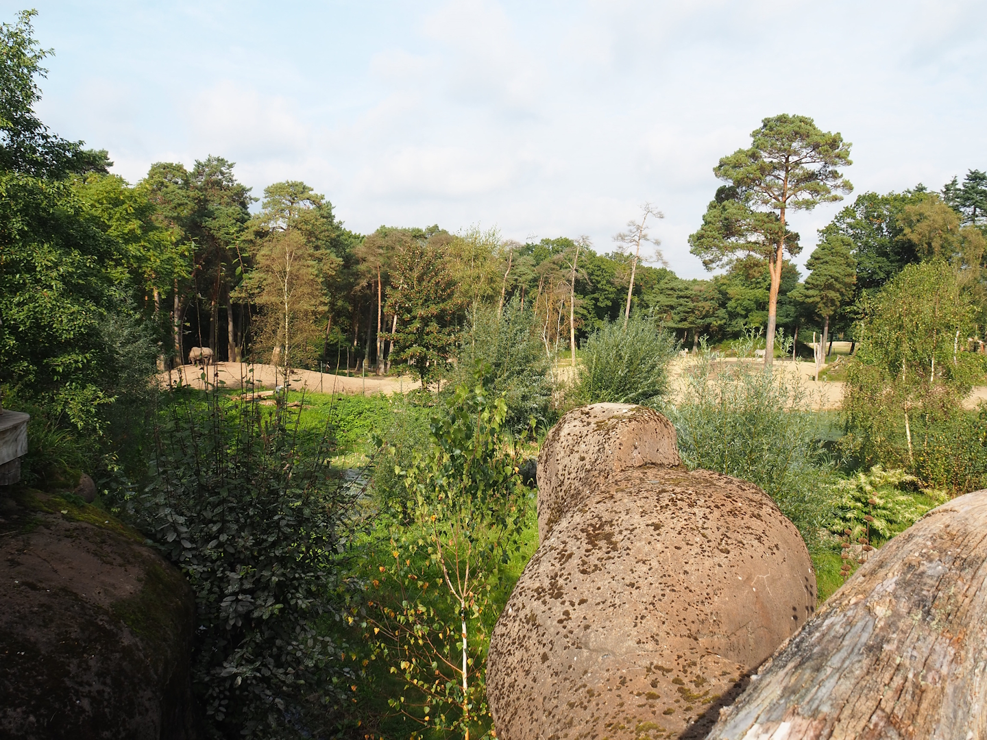 Safari - Savanna paddock, 2023-10-07