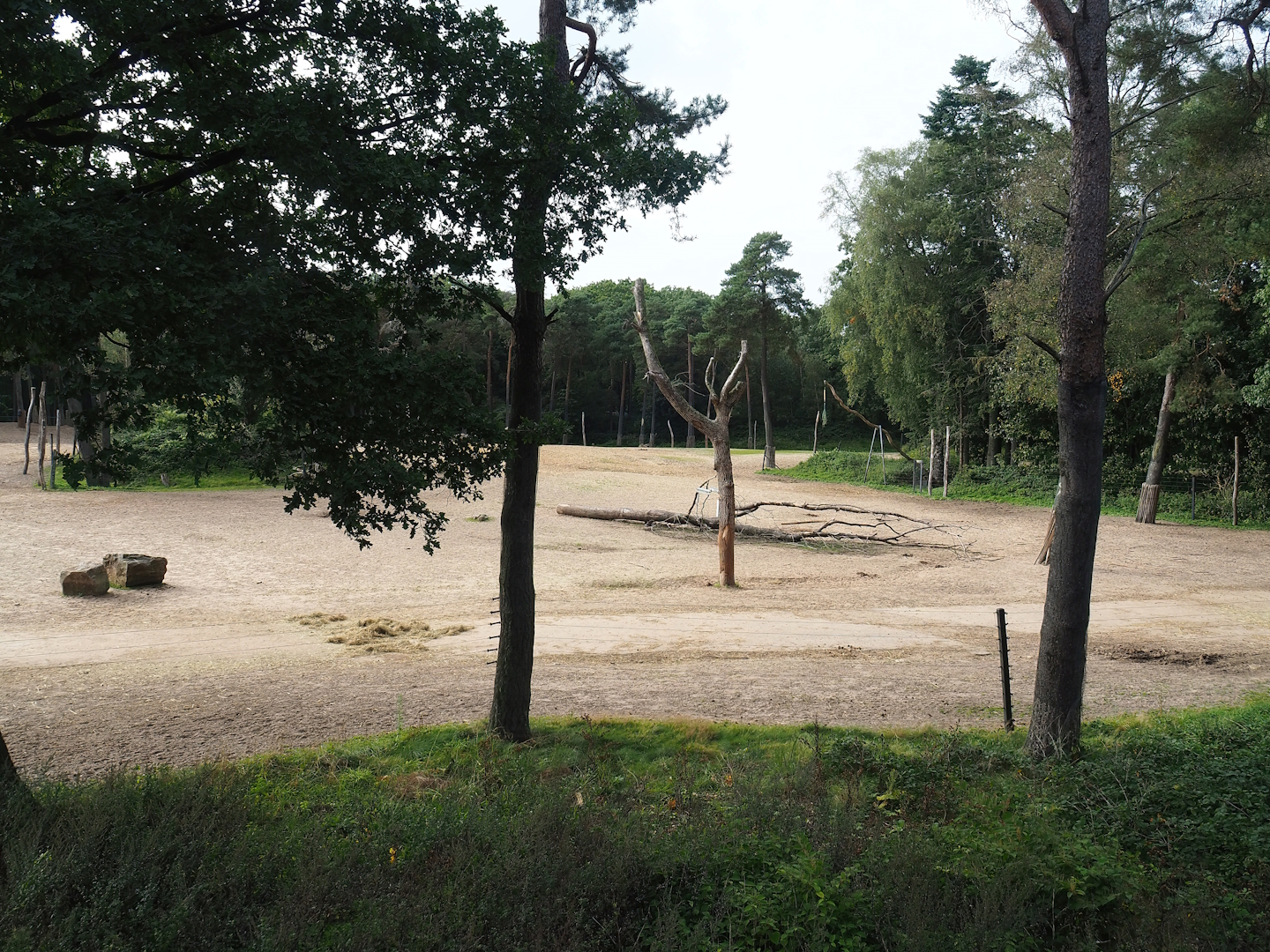 Safari - Savanna paddock, 2023-10-07