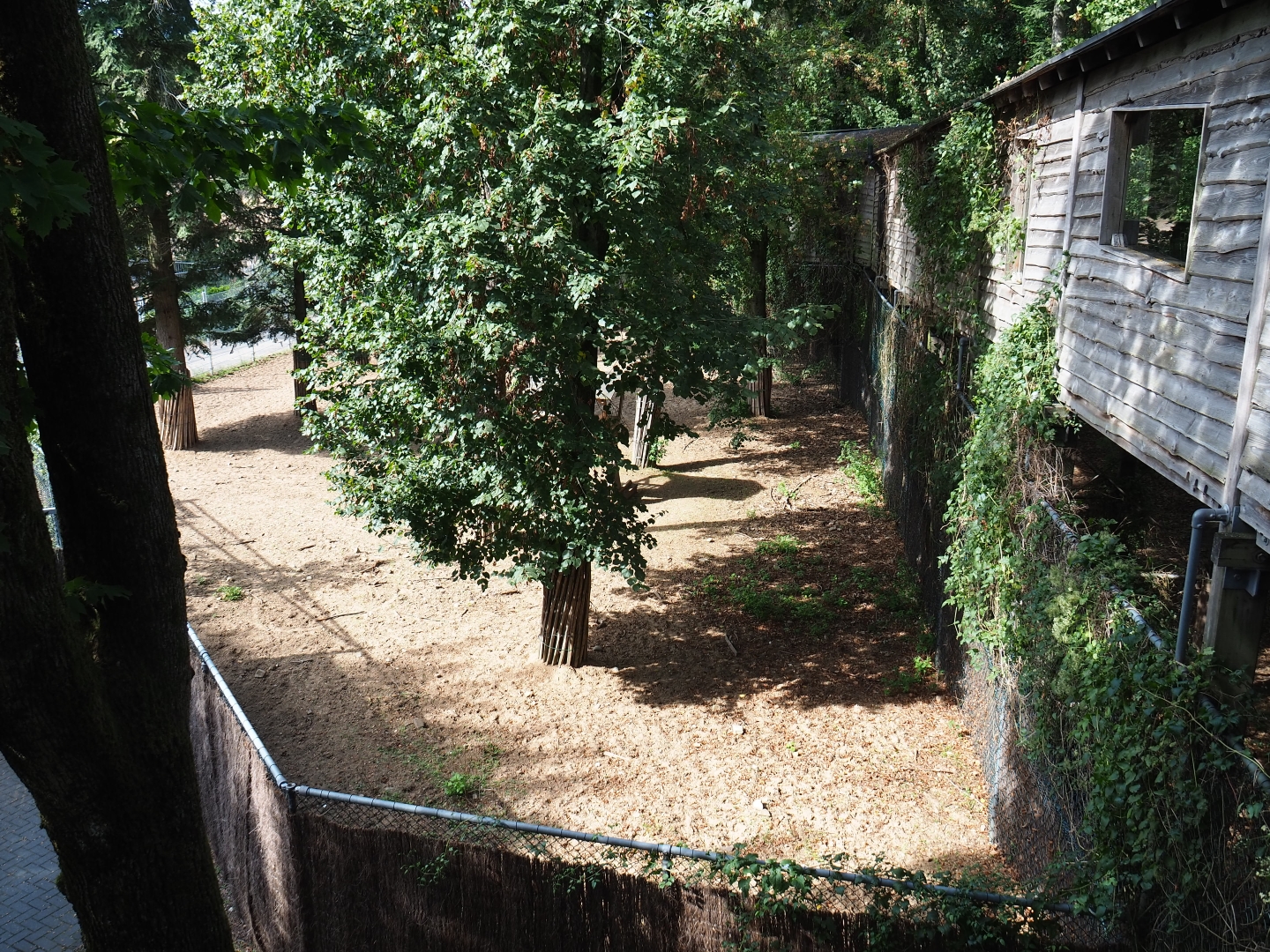 Safari - Second viewable separation paddock (Sep 16th, 2018)
