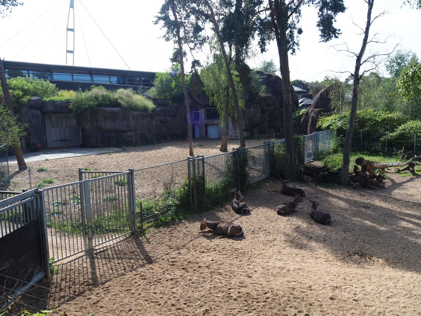 Safari separation paddock (Sep 16th, 2018)