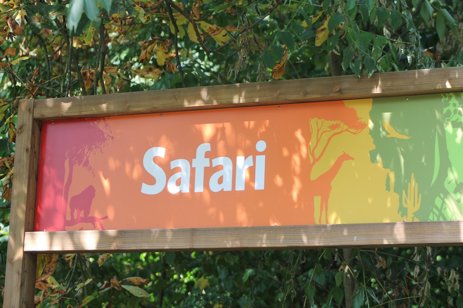 Safari-sign