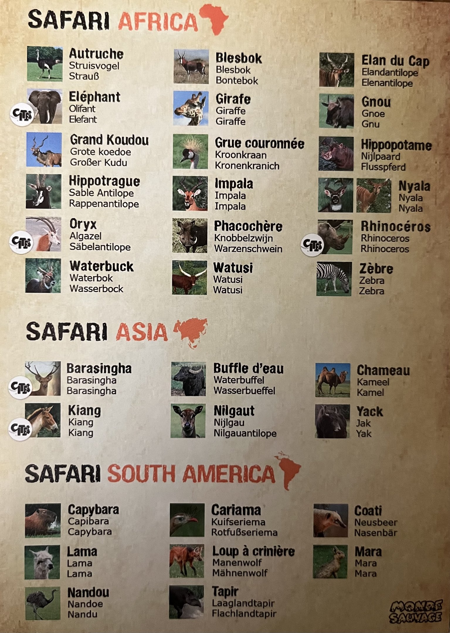 Safari Species List - 2019