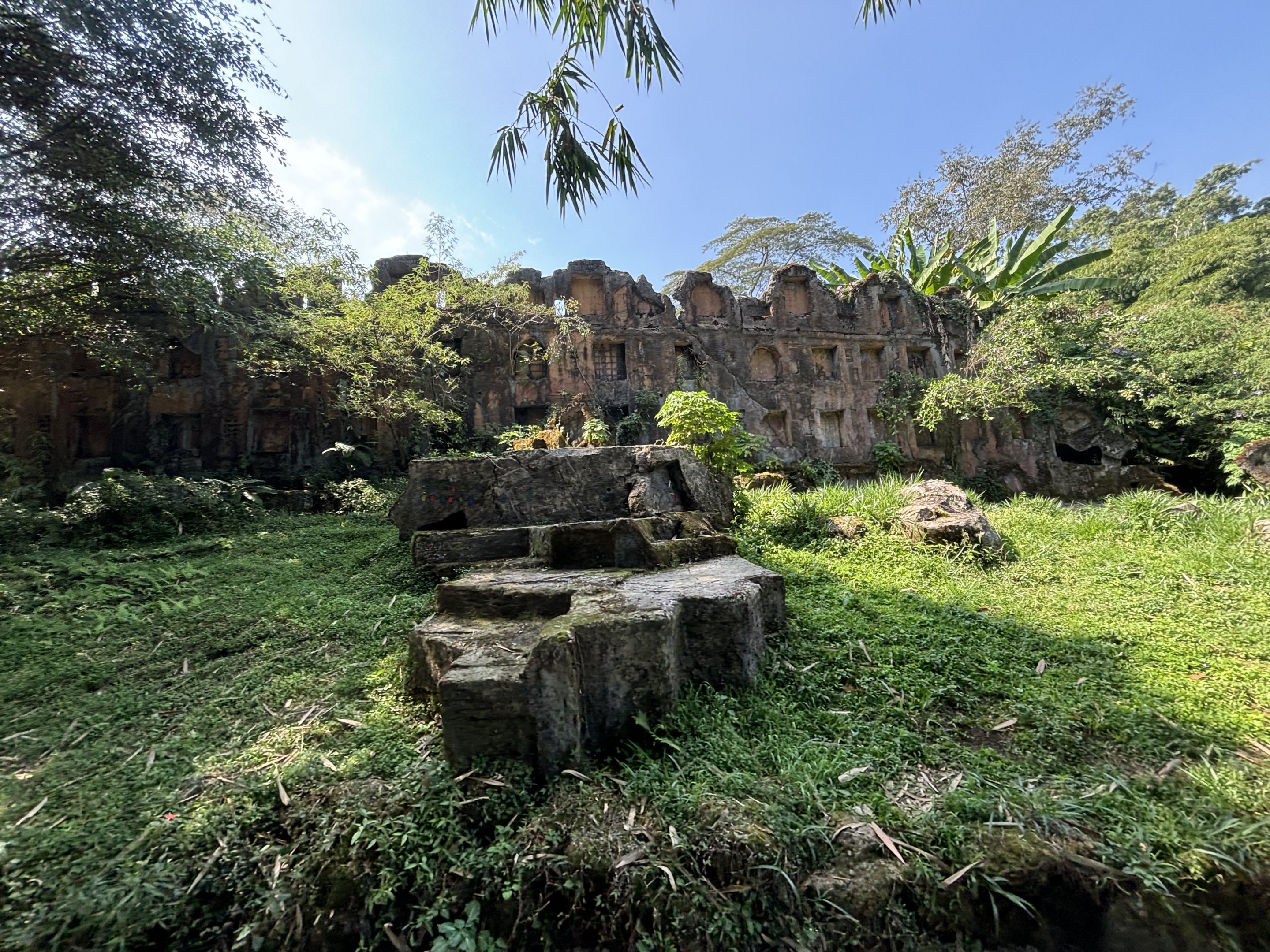 Safari - Tiger Exhibit #1