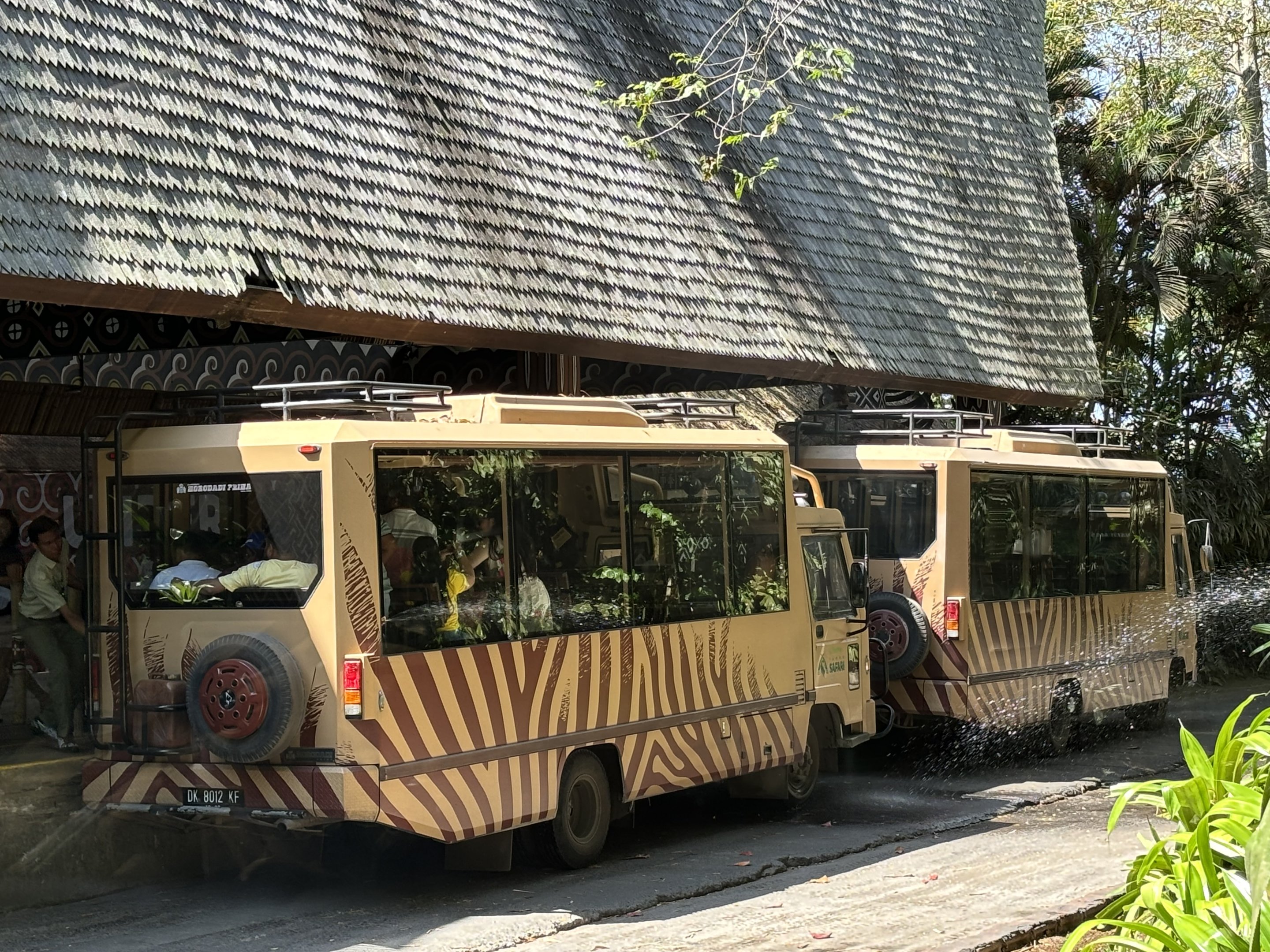 Safari Tour Buses