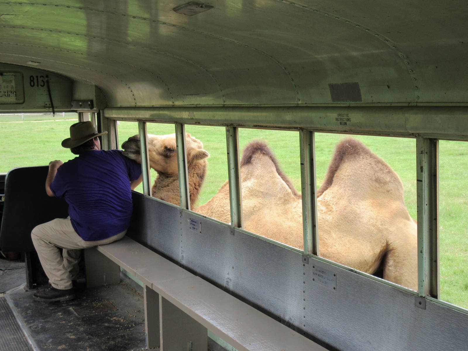 Safari Tour - tour guide on his first day on the job!