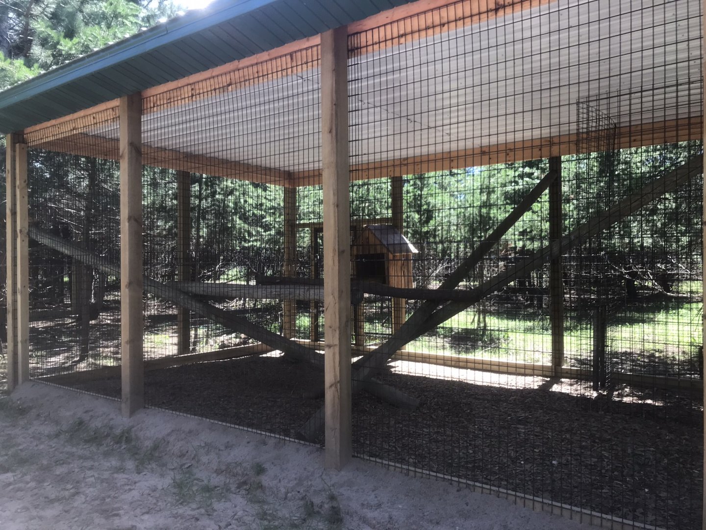 Safari Train Expedition - Crab-Eating Macaque Exhibit