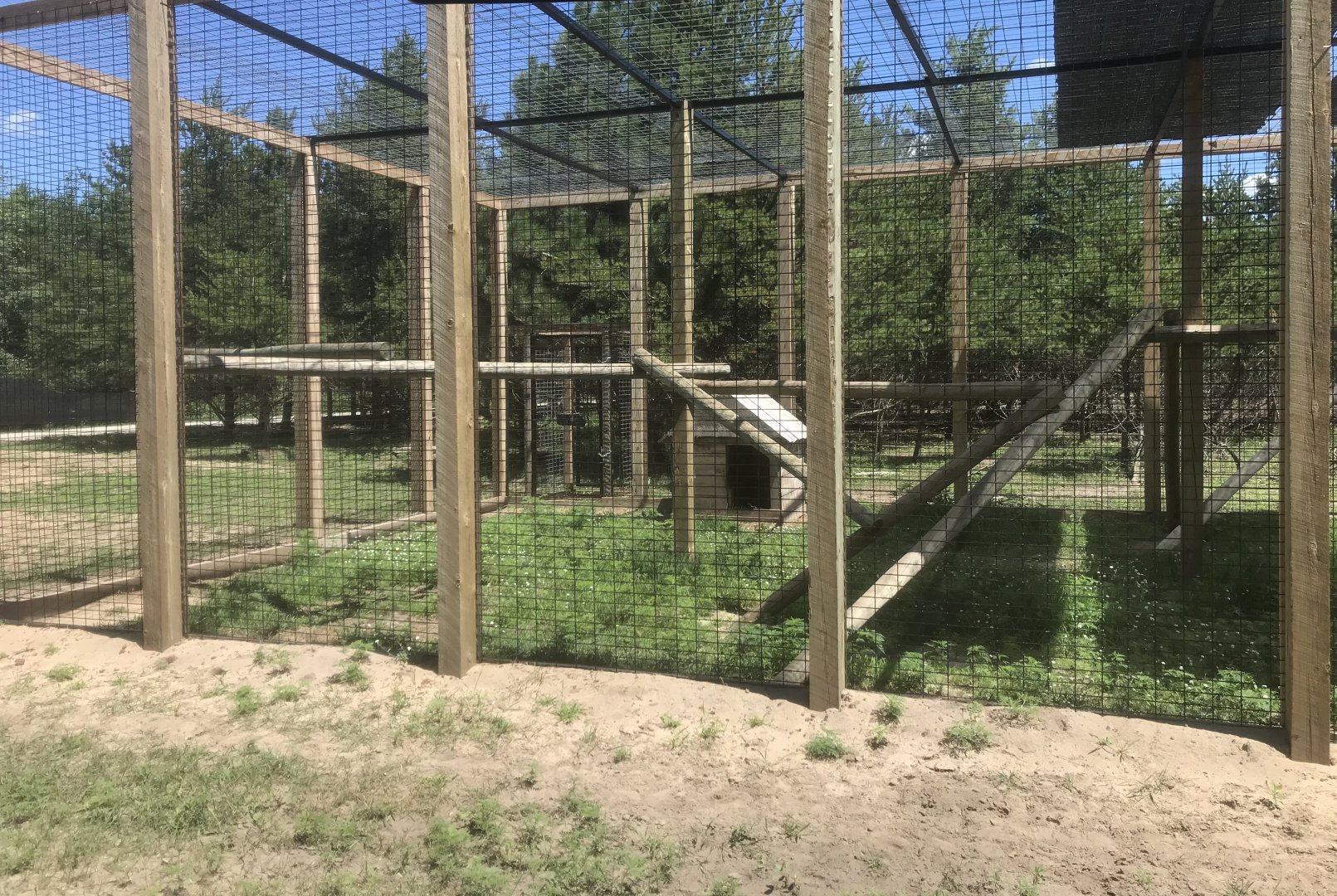 Safari Train Expedition - Hamadryas Baboon Exhibit