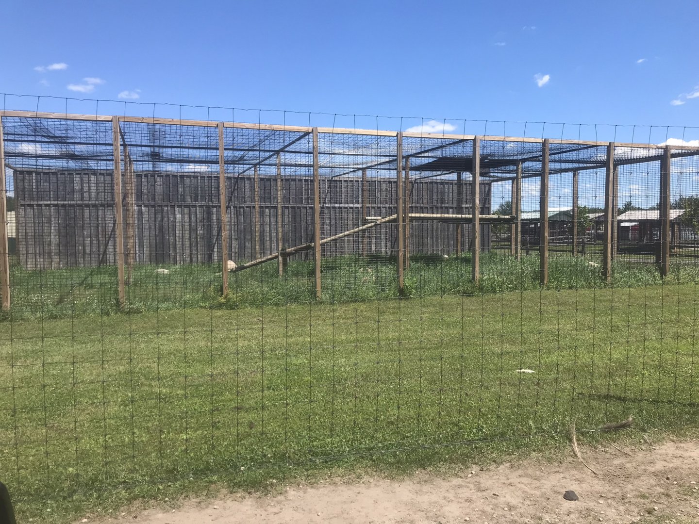 Safari Train Expedition - Jaguar Exhibit