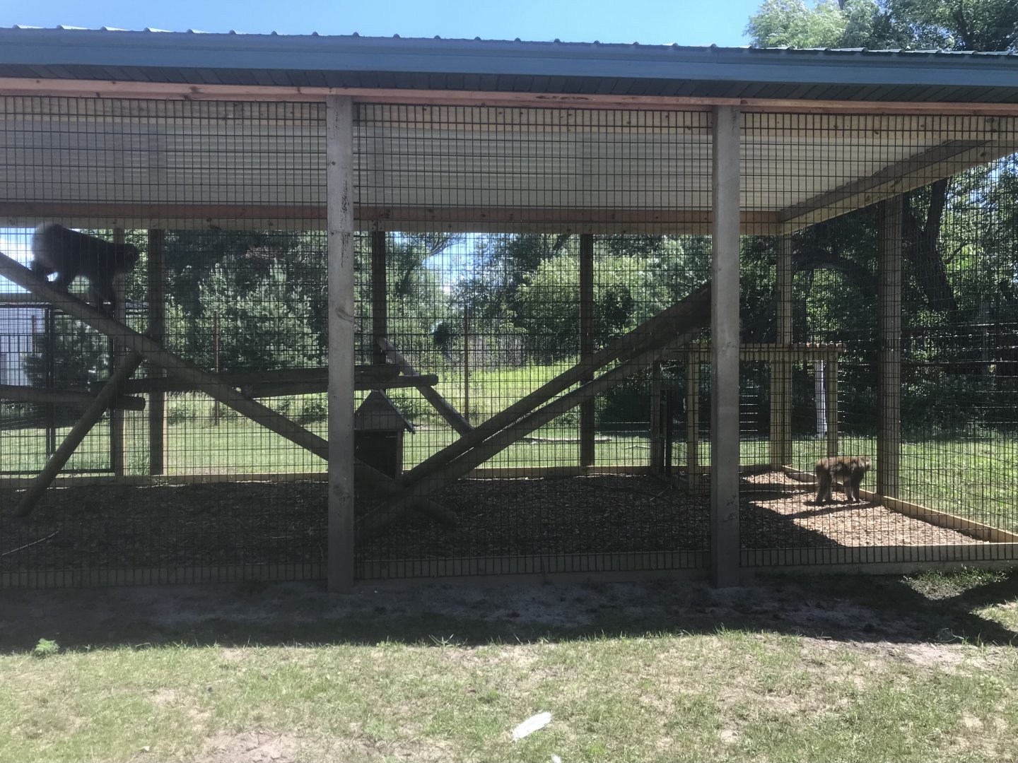 Safari Train Expedition - Japanese Macaque Exhibit