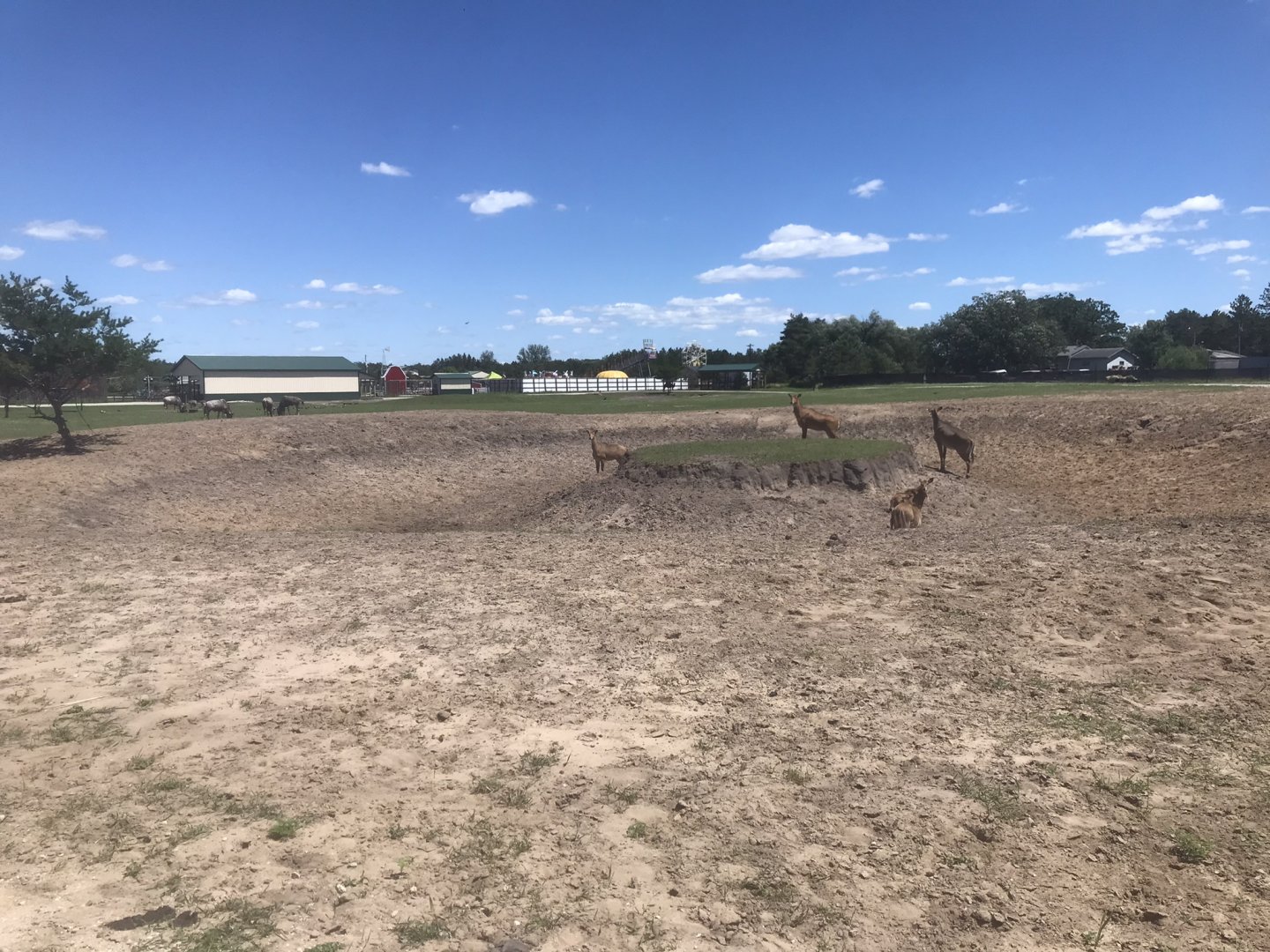 Safari Train Expedition - Mixed Savanna