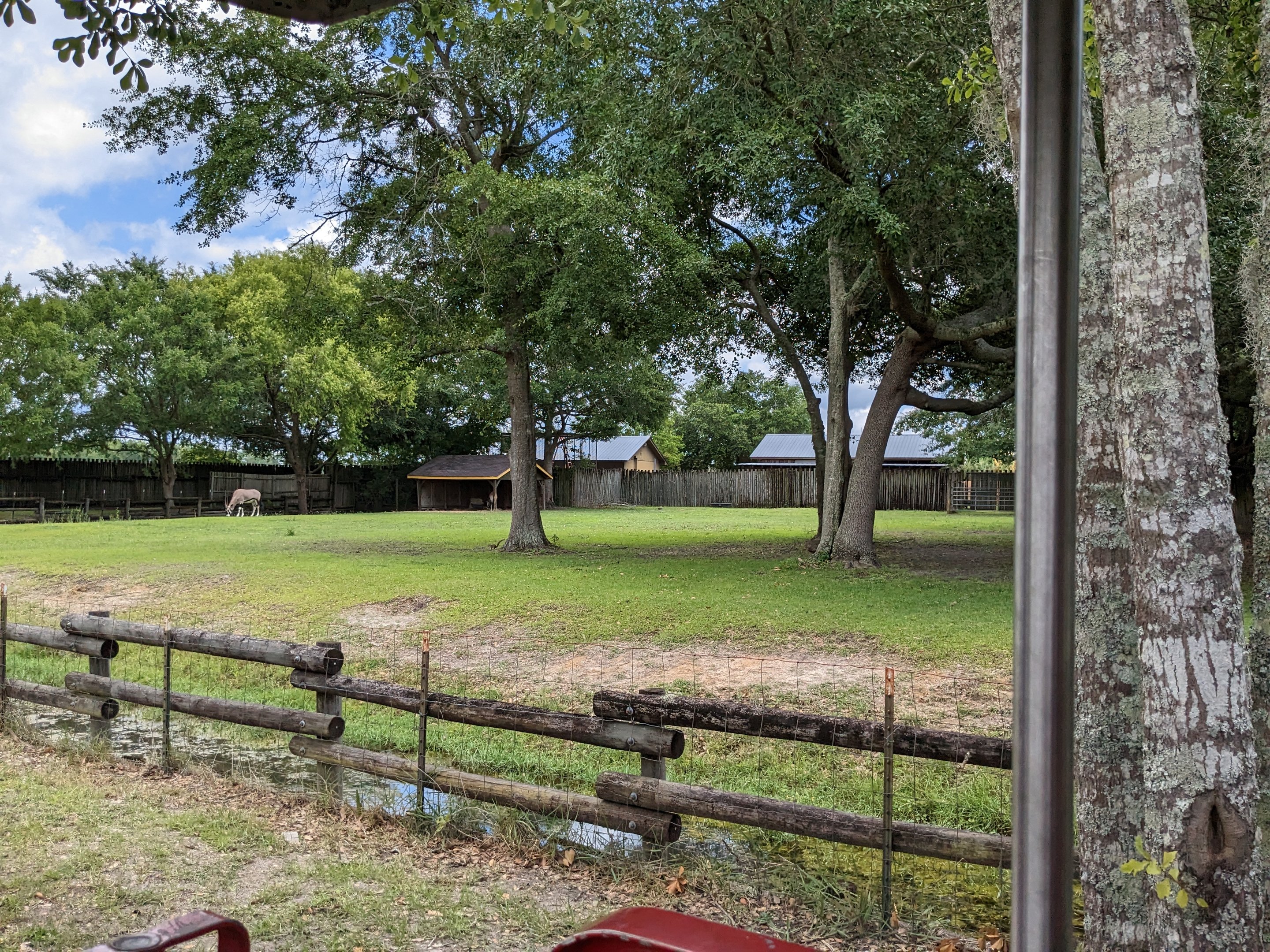 Safari Train - Gemsbok yard