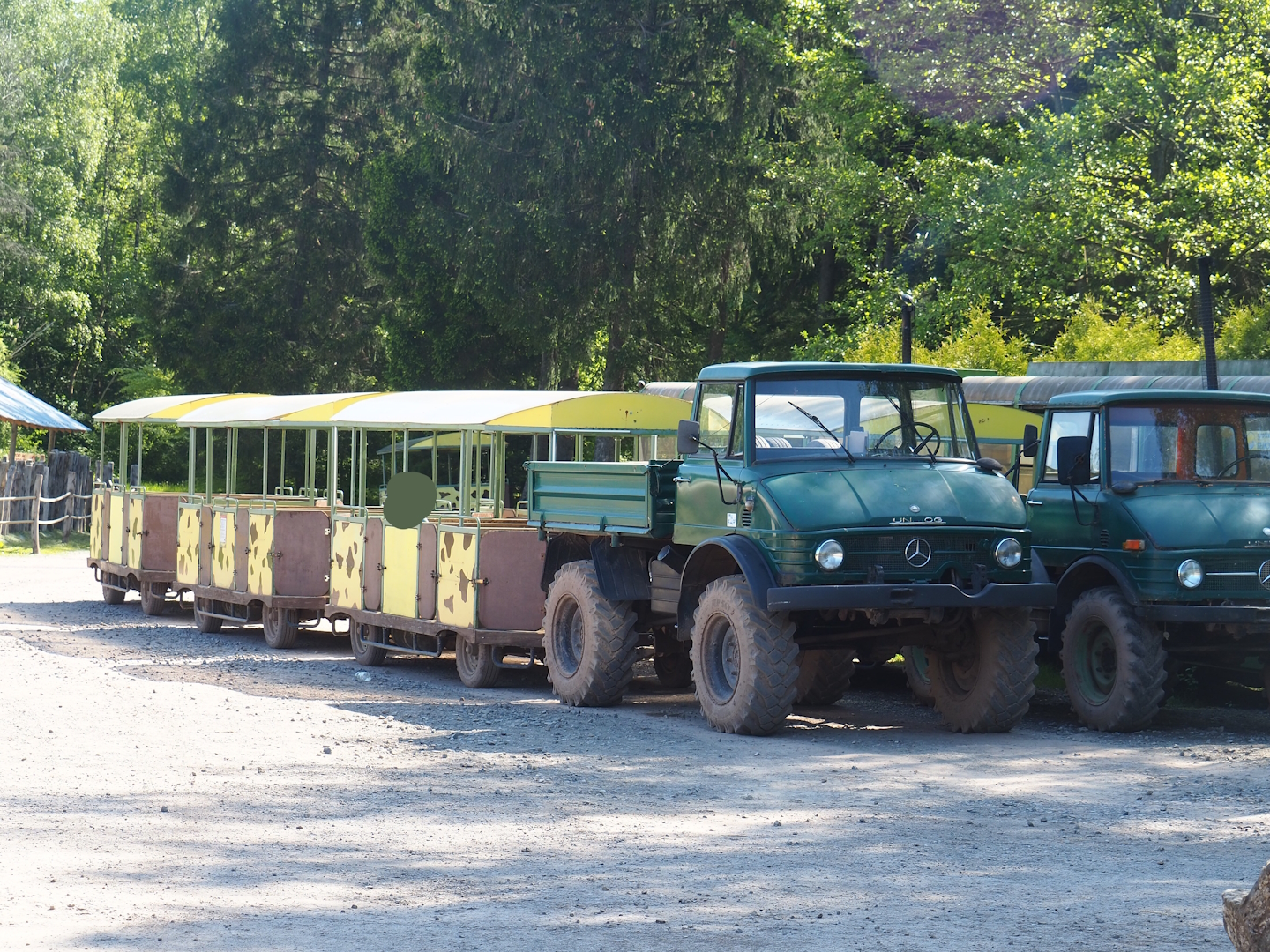 Safari trains, 2023-05-19