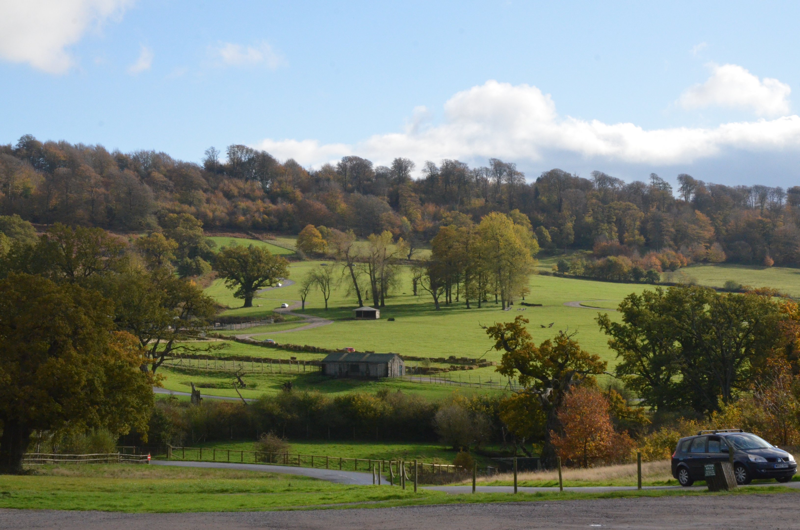 Safari View at Longleat, 03/11/19