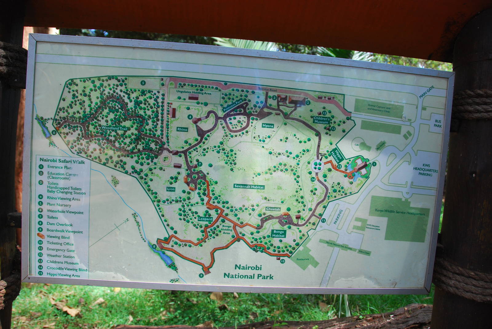 Safari Walk Map