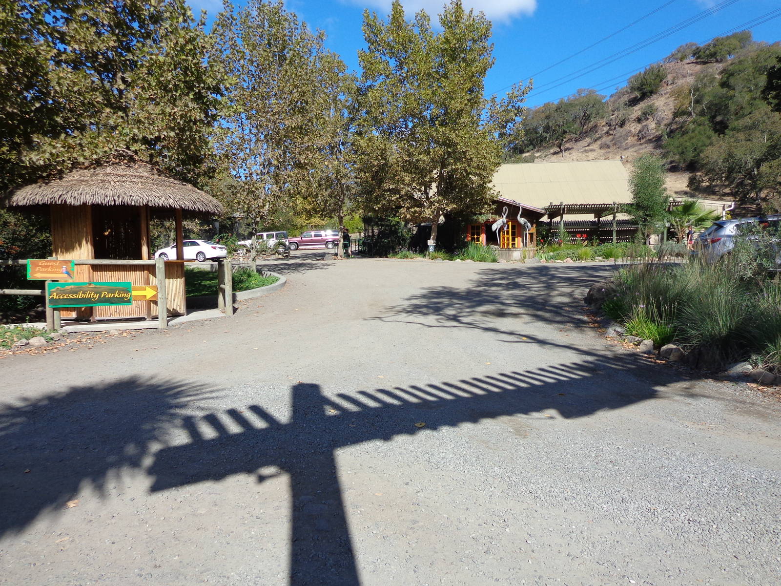 Safari West Entrance #1