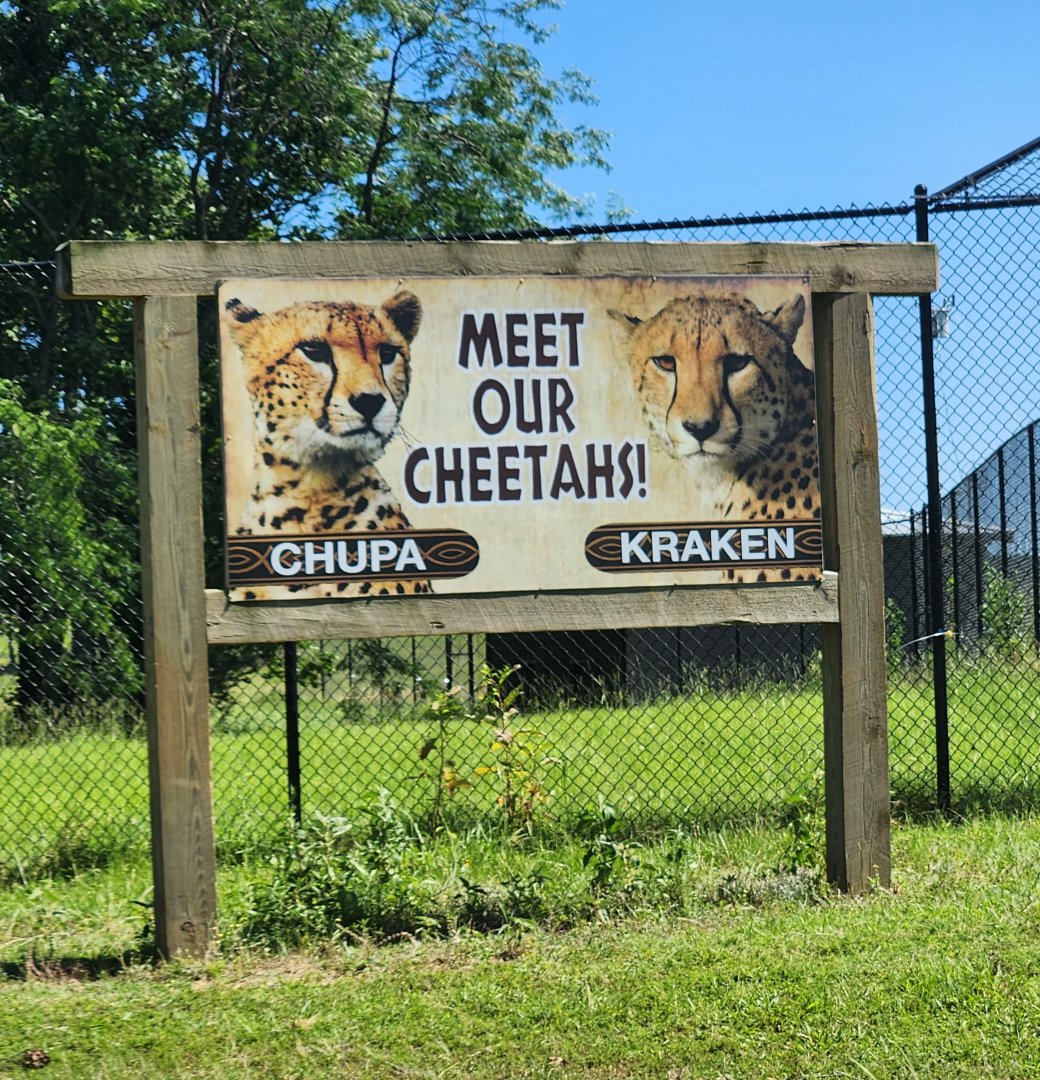 Safari Wild Animal Park - Cheetah signage