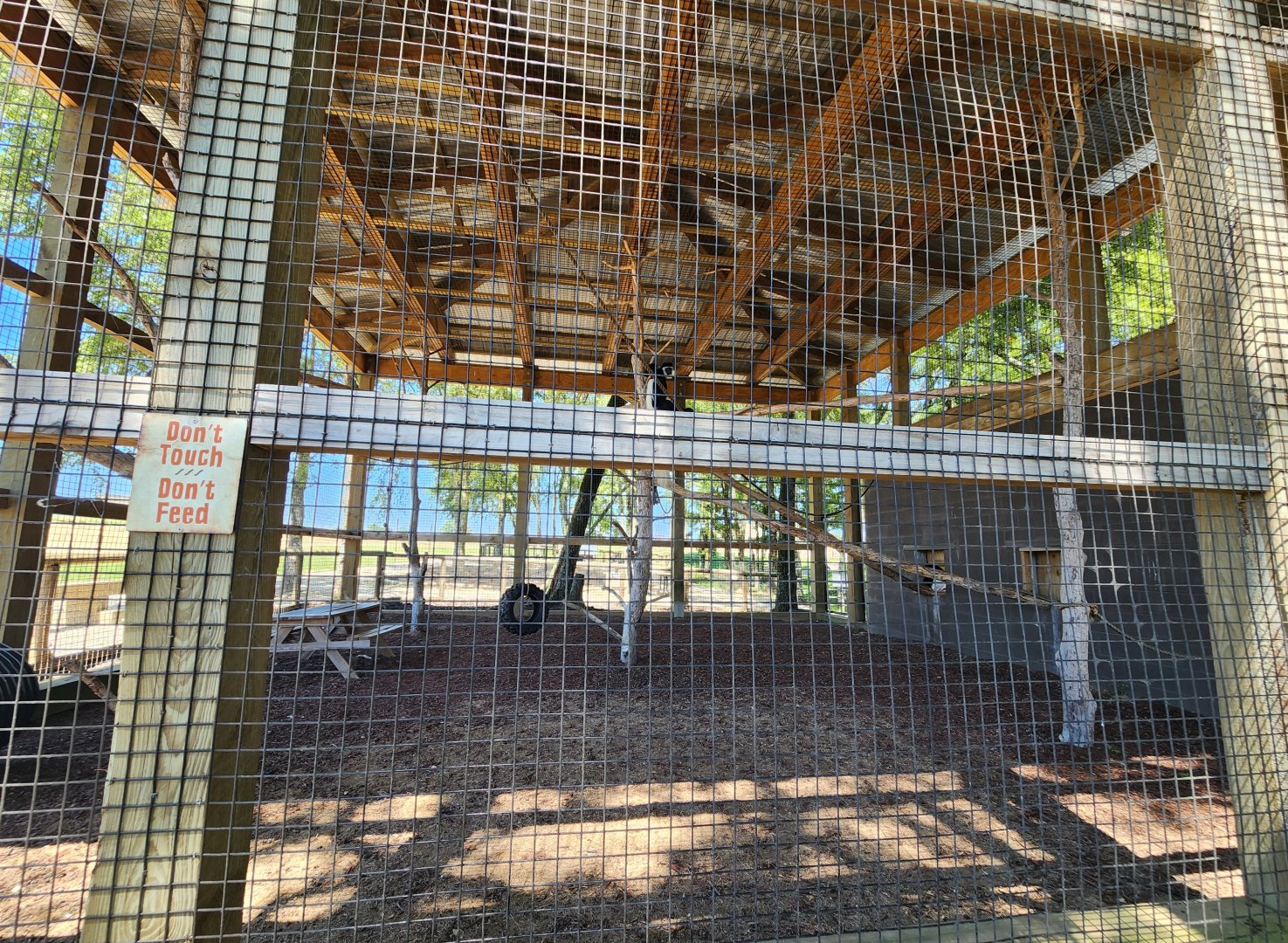 Safari Wild Animal Park - Colobus monkey enclosure