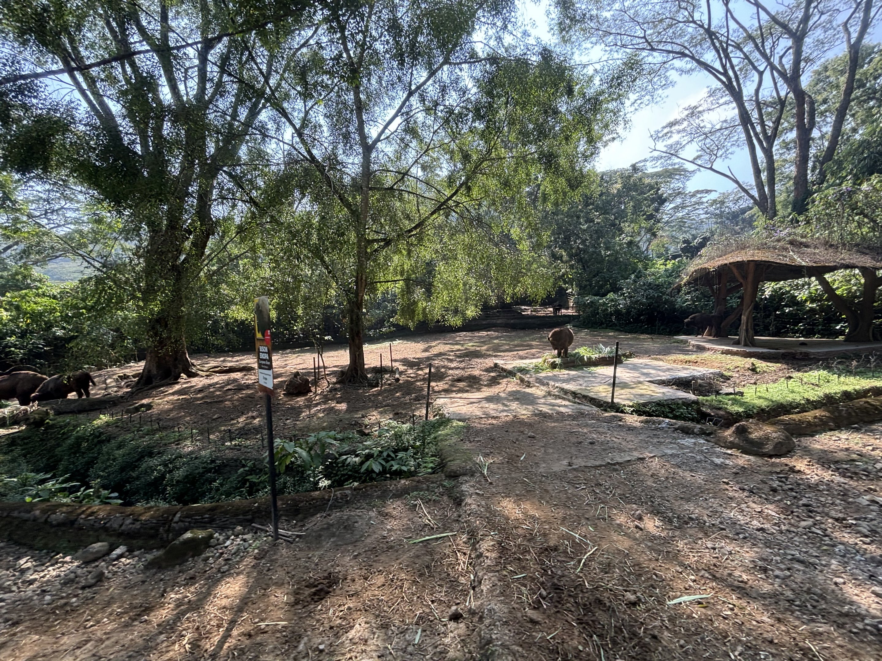 Safari - Wisent Exhibit