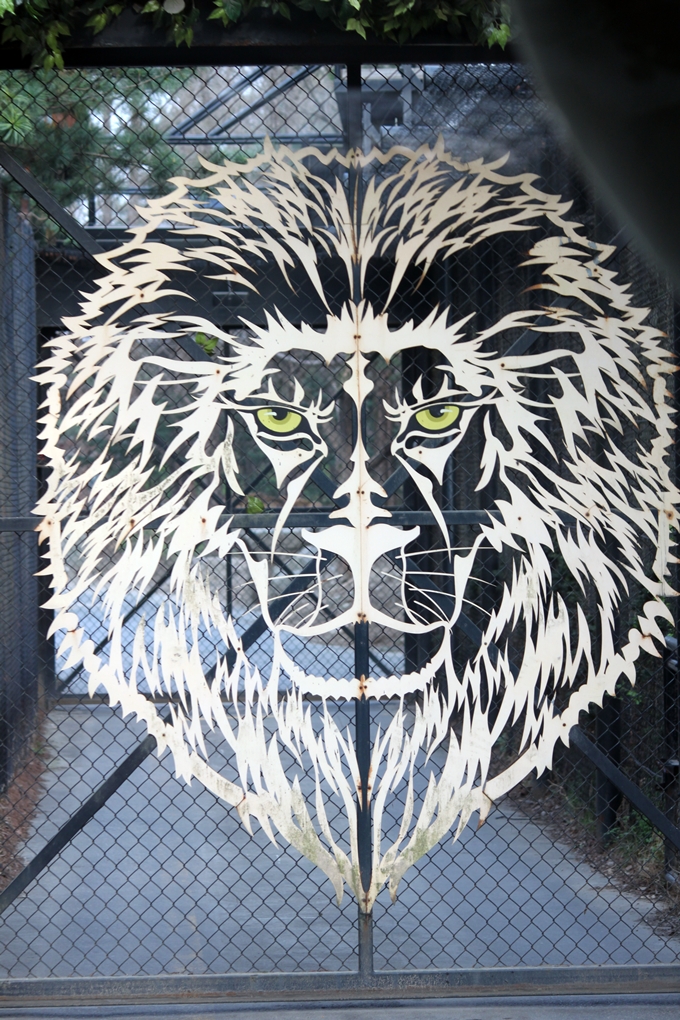 Safari world entrance