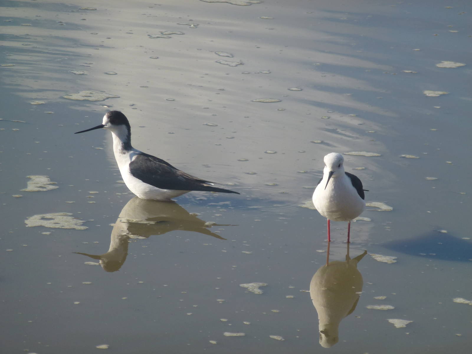 Safari Zoological Center 15.12.12