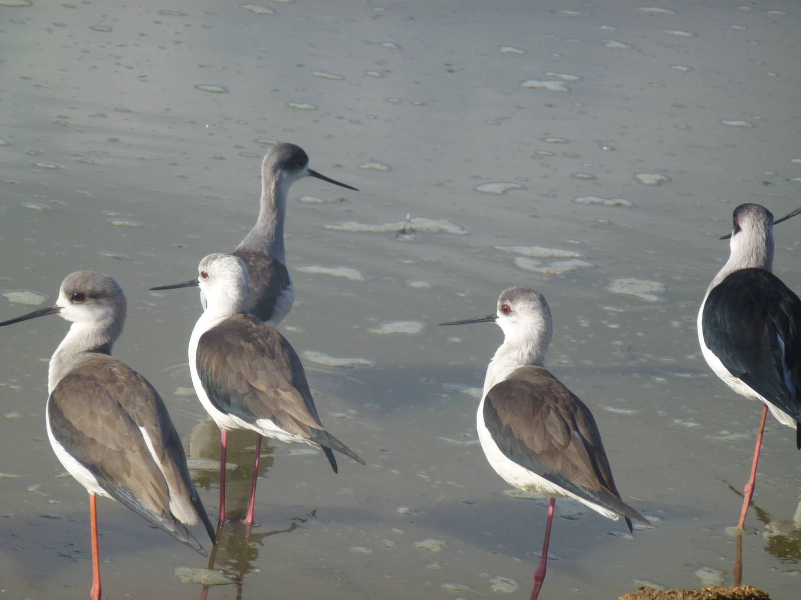 Safari Zoological Center 15.12.12