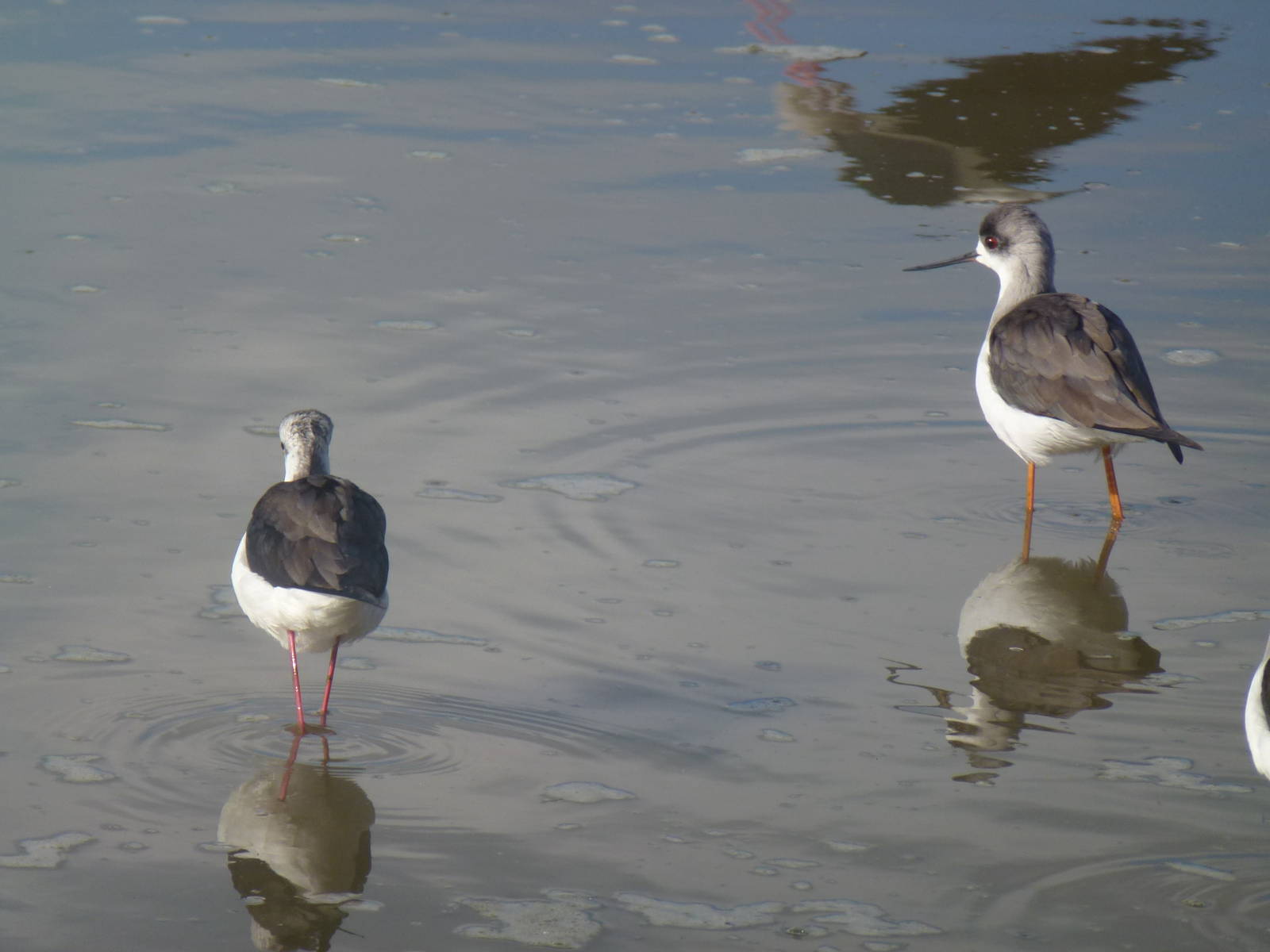 Safari Zoological Center 15.12.12