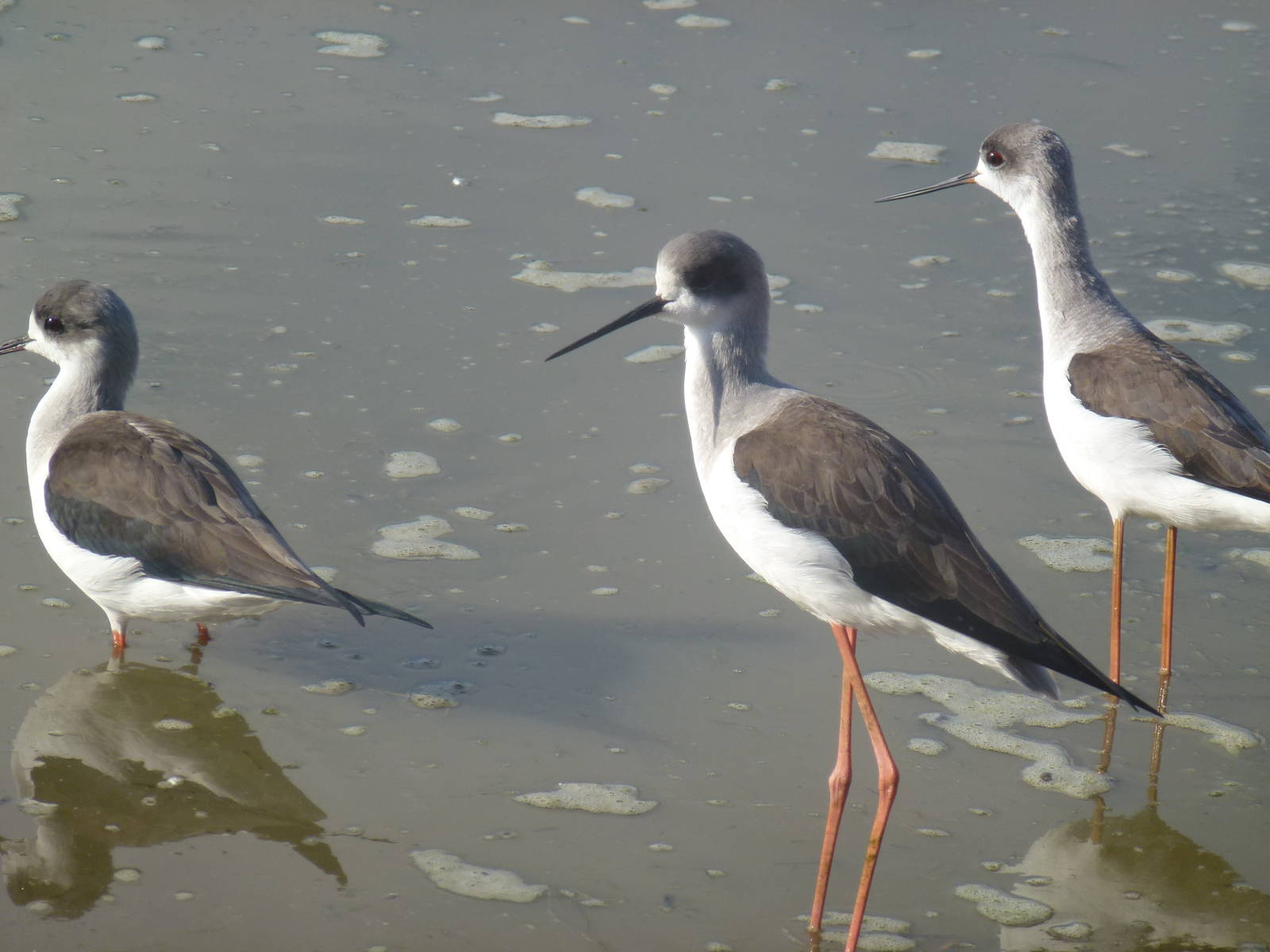 Safari Zoological Center 15.12.12