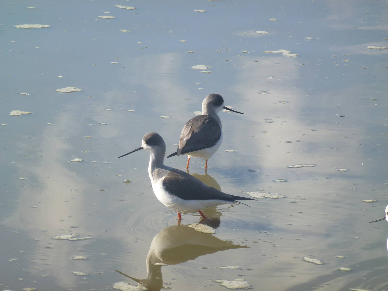 Safari Zoological Center 15.12.12