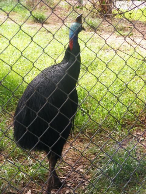 Safari Zoological Center 30.1.10
