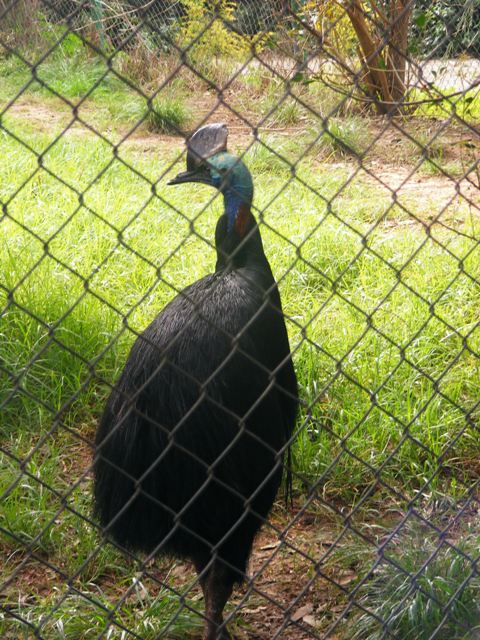 Safari Zoological Center 30.1.10