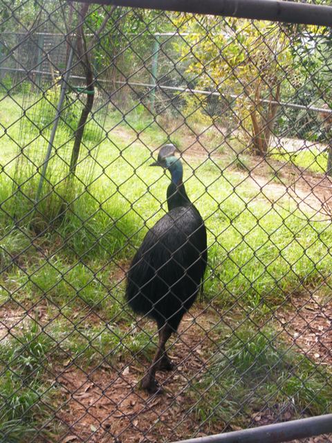 Safari Zoological Center 30.1.10