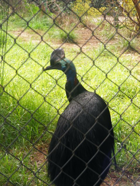 Safari Zoological Center 30.1.10
